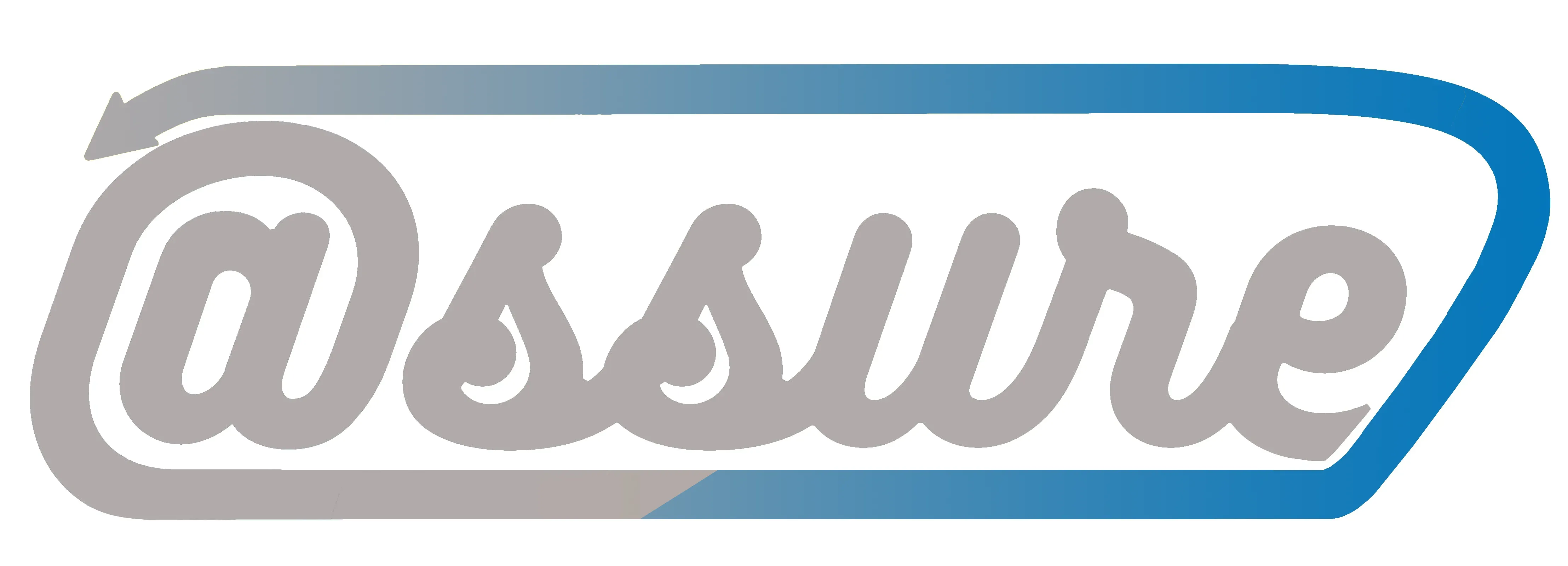 ASSURE SRL