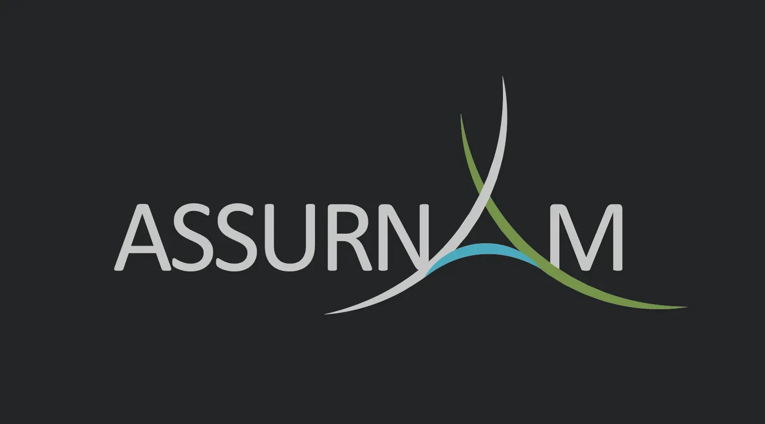 Assurnam Srl
