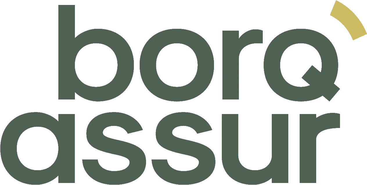 BORQ’ASSUR