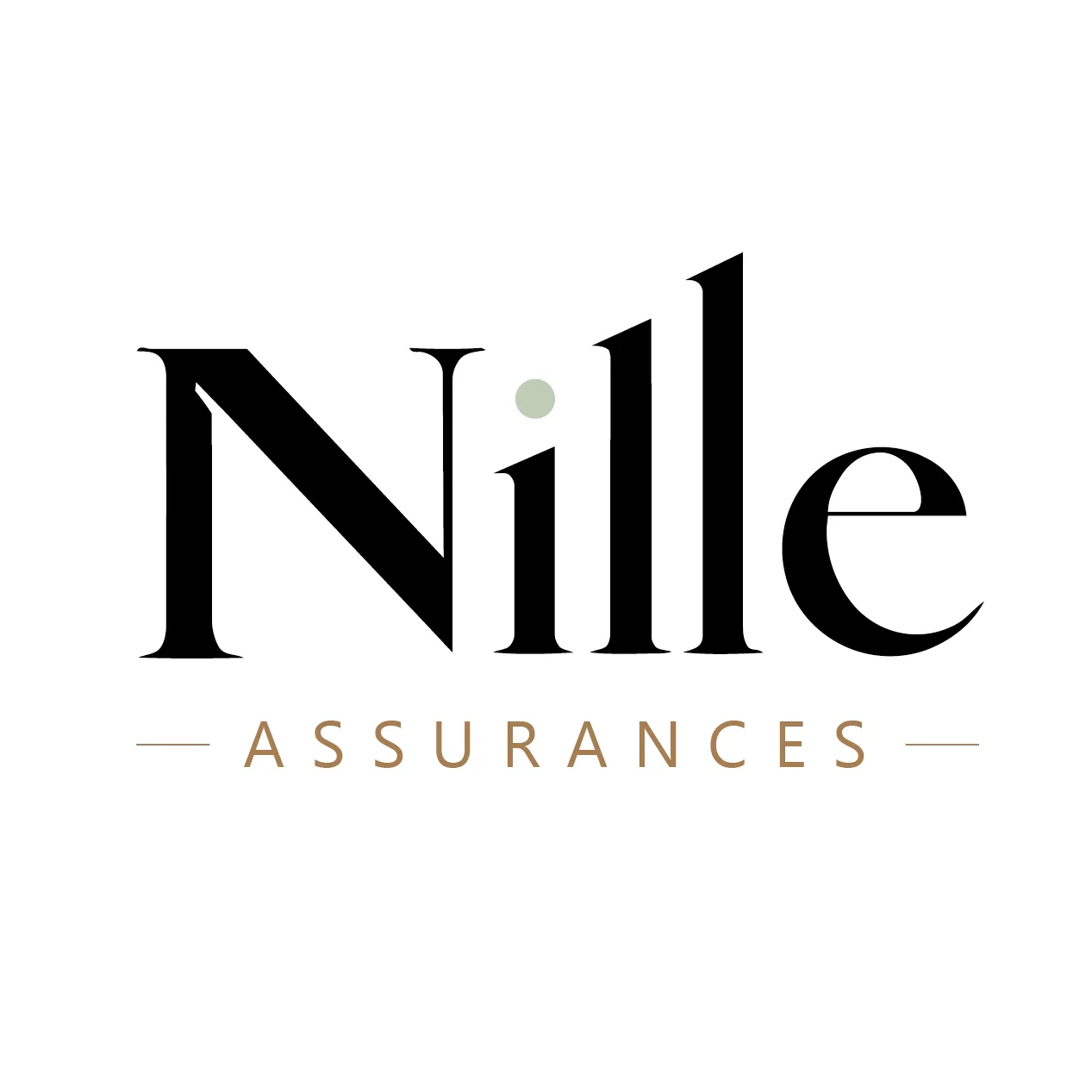 NILLE ASSURANCES
