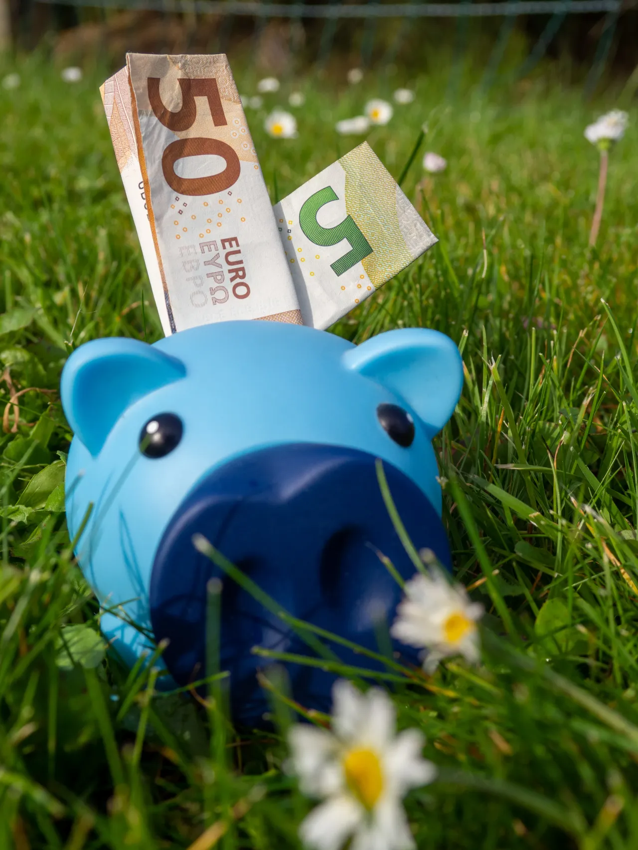 Foto van verzekeringsmakelaar Moneycoach.nu